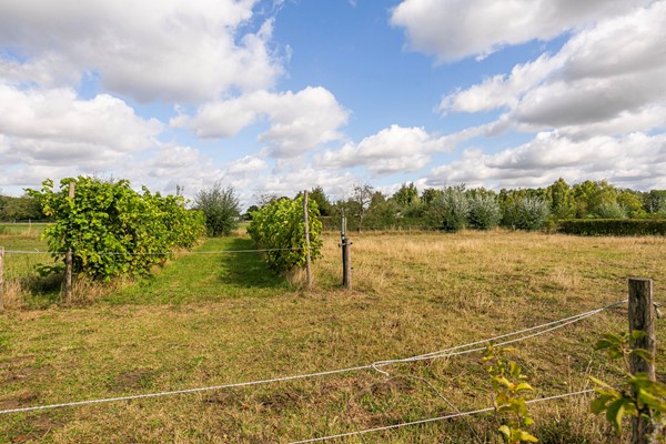 Medium property photo - Ewijkseweg 4, 6611 AG Overasselt
